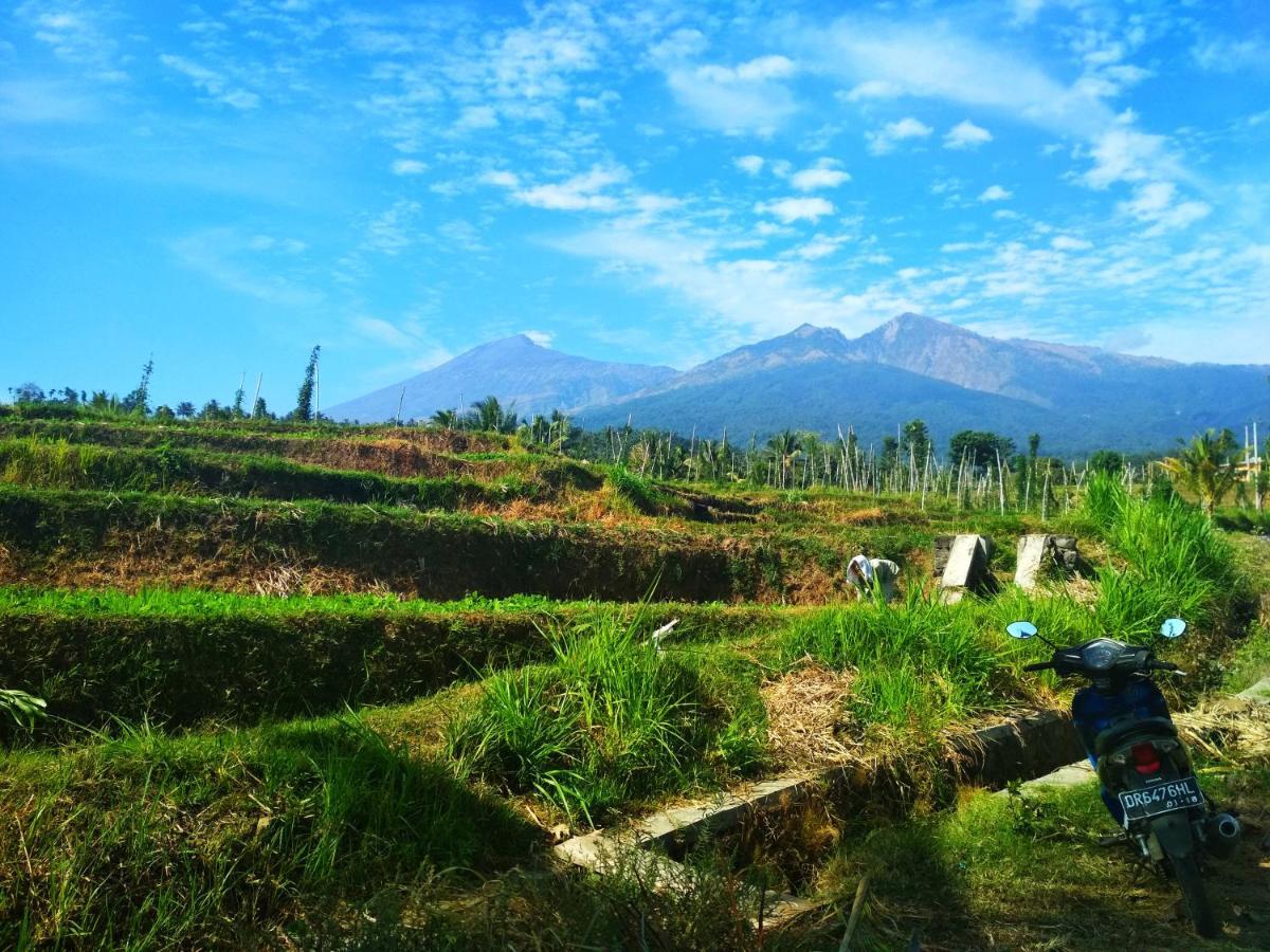 Budaya Kaki Rinjani Senaru Εξωτερικό φωτογραφία